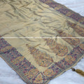 Brocade Pashmina Saree